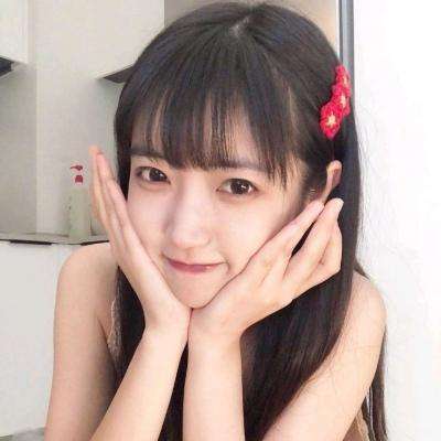 火炬之光内购破解版下载
